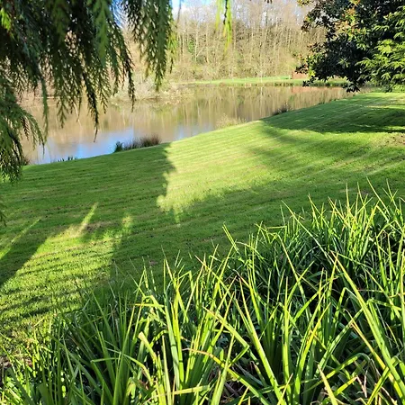 Le David Bouchamps-les-Craon