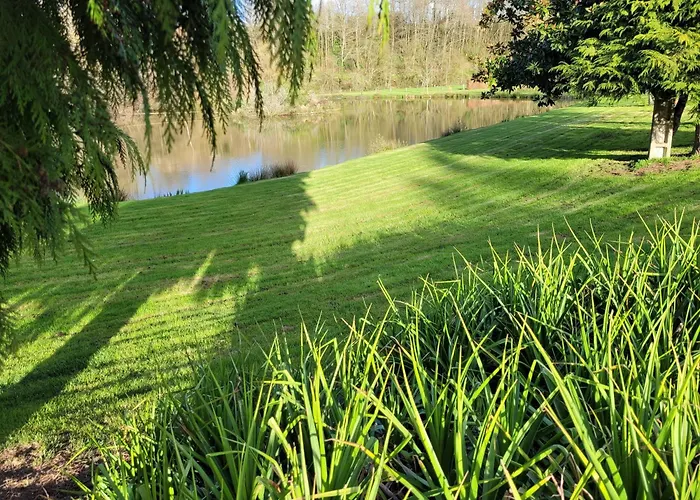 Le David Bouchamps-les-Craon